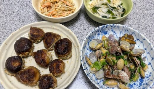 選挙運動のバスと妹の手料理